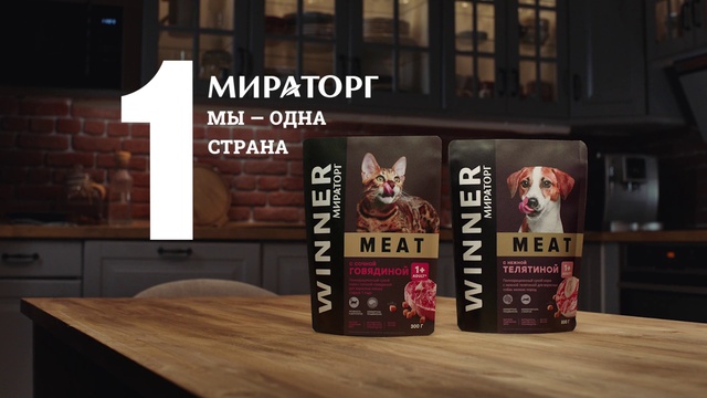 Video Reference: Dog, Carnivore, Wood, Fawn, Pet supply, Companion dog, Dog breed, Flooring, Window, Hardwood