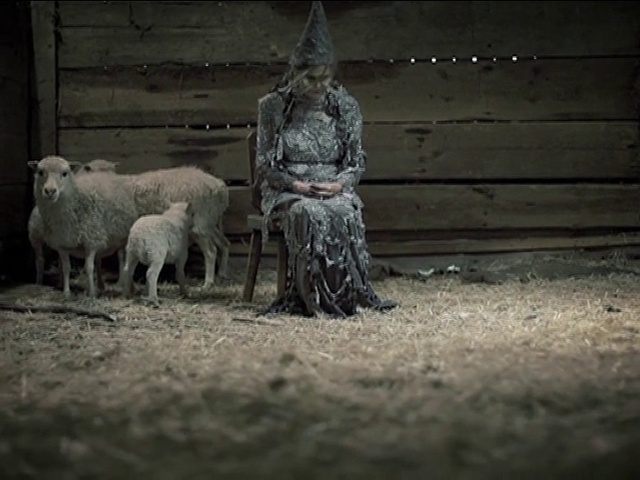 Video Reference: Flash photography, Grey, Working animal, Art, Grass, Wood, Snout, Sky, Sheep, Tree