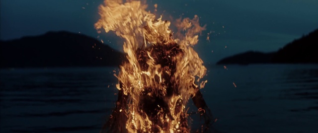 Video Reference: Water, Atmosphere, Sunlight, Astronomical object, Sky, Lake, Wood, Heat, Fire, Horizon