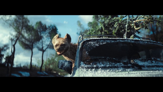 Video Reference: Sky, Vertebrate, Hood, Automotive mirror, Tree, Carnivore, Organism, Automotive lighting, Fawn, Felidae