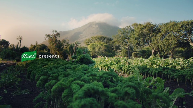 Video Reference: Cloud, Sky, Plant, Plant community, Mountain, Natural landscape, Tree, Highland, Terrestrial plant, Mountainous landforms