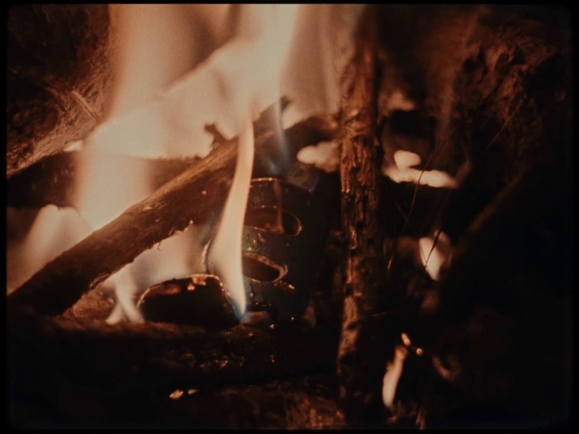 Video Reference: Flash photography, Wood, Fire, Gas, Tints and shades, Flame, Twig, Heat, Ash, Event