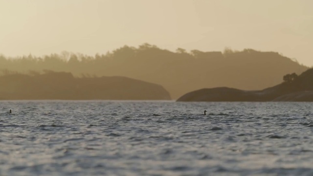Video Reference: Water, Sky, Atmosphere, Lake, Coastal and oceanic landforms, Atmospheric phenomenon, Dusk, Cloud, Landscape, Horizon