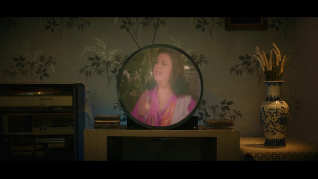 Video Reference: Plant, Table, Art, Flowerpot, Tree, Wood, Painting, Space, Television set, Darkness