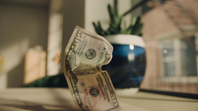 Video Reference: Dollar, Banknote, Plant, Money handling, Saving, Money, Houseplant, Currency, Cash, Window