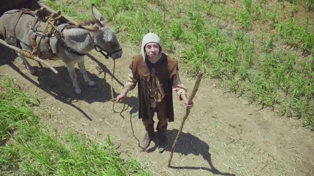 Video Reference: Plant, Working animal, Farmer, Agriculture, Herder, Grass, Pack animal, Field, Soil, People in nature