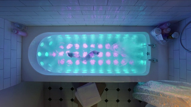 Video Reference: Automotive lighting, Light, Purple, Visual effect lighting, Entertainment, Gas, Ceiling, Magenta, Glass, Fun