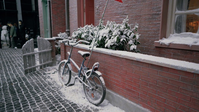 Video Reference: Tire, Wheel, Bicycle, Snow, Plant, Vehicle, Bicycle tire, Bicycle frame, Sports equipment, Bicycle wheel