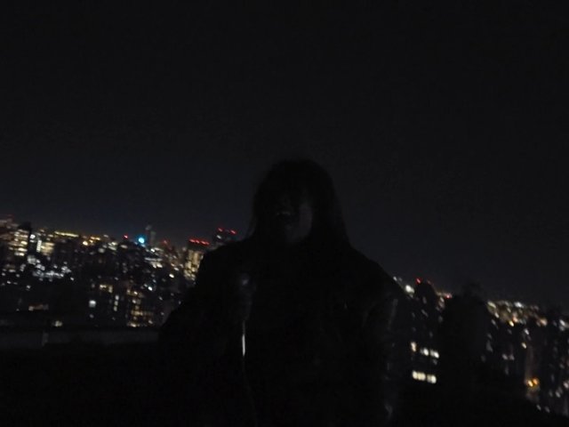 Video Reference: night, cityscape, silhouette, person, skyline, buildings, lights, dark, urban, outdoors, night view, low light