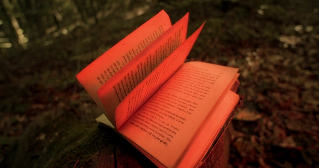 Video Reference: Wood, Publication, Font, Natural material, Magenta, Paper, Terrestrial plant, Grass, Carmine, Paper product