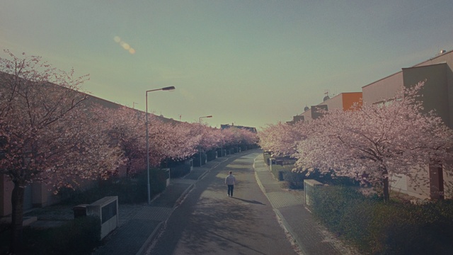 Video Reference: Sky, Atmosphere, Cloud, Branch, Street light, Tree, Landscape, Thoroughfare, Road surface, Natural landscape