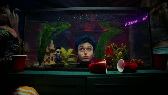 Video Reference: Plant, Flowerpot, Organism, Houseplant, Art, Event, Display device, Magenta, Floristry, Room