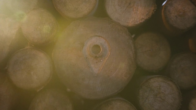 Video Reference: Wood, Natural material, Circle, Pattern, Close-up, Terrestrial plant, Peach, Metal, Marine invertebrates, Rock