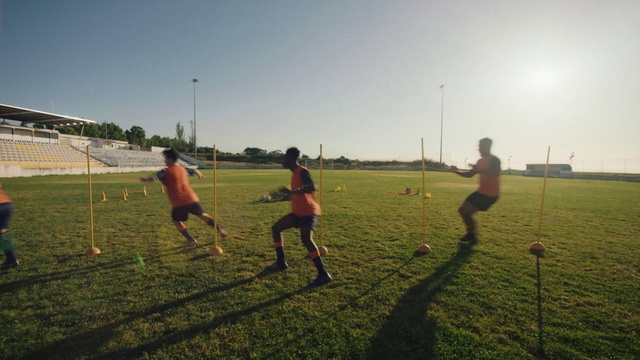 Video Reference: Sky, Sports equipment, Football, Shorts, Vertebrate, Ball, Player, Plant, Soccer, Ball game