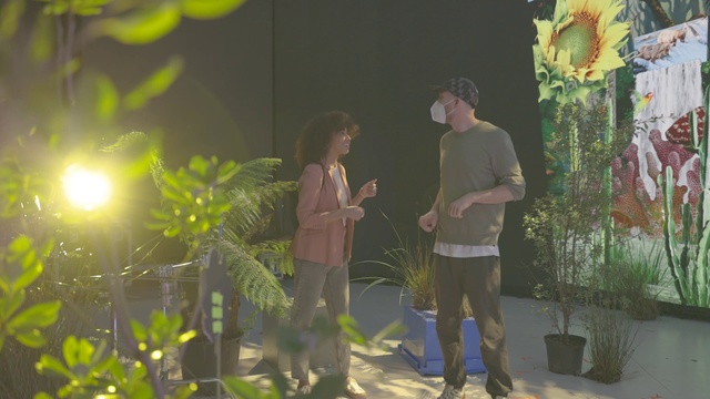 Video Reference: Plant, Light, Nature, Standing, Terrestrial plant, Grass, Fun, Tree, Shorts, Event