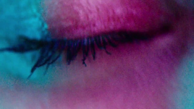 Video Reference: Plant, Eyelash, Purple, Jaw, Eye shadow, Pink, Violet, Insect, Cosmetics, Beard