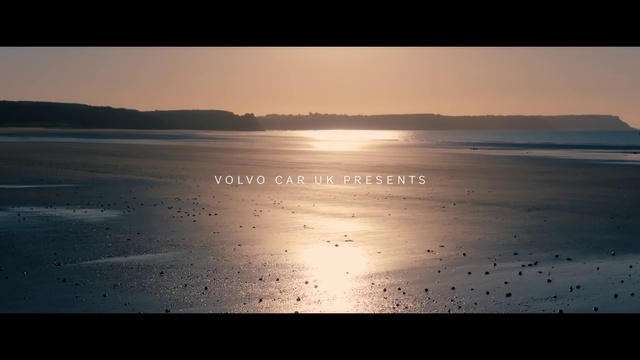 Video Reference: Water, Atmosphere, Sky, Vertebrate, Bird, Liquid, Afterglow, Natural landscape, Sunlight, Dusk