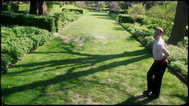 Video Reference: Plant, Green, Natural landscape, Land lot, Grass, Tree, Groundcover, Grassland, Shrub, Landscape