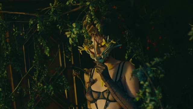 Video Reference: Plant, People in nature, Fawn, Terrestrial plant, Twig, Wood, Art, Grass, Cg artwork, Forest