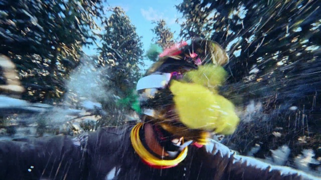 Video Reference: Tree, Dog breed, Slope, Leisure, Recreation, Personal protective equipment, Sky, Eyewear, Ski Equipment, Fur