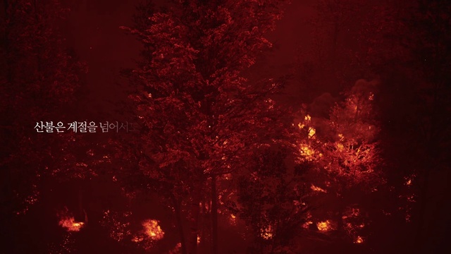 Video Reference: Amber, Twig, Orange, Tree, Plant, Tints and shades, Landscape, Deciduous, Midnight, Space