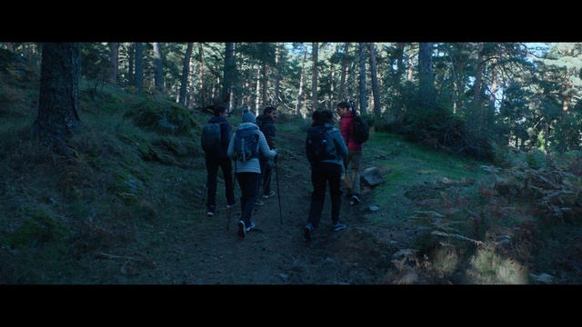 Video Reference: Plant, People in nature, Tree, Natural landscape, Atmospheric phenomenon, Grass, Woody plant, Landscape, Leisure, Forest