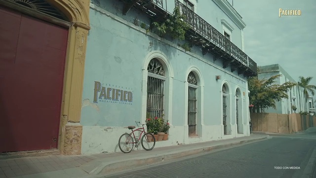 Video Reference: Bicycle, Wheel, Tire, Building, Plant, Window, Bicycle wheel, Neighbourhood, Bicycles--Equipment and supplies, House