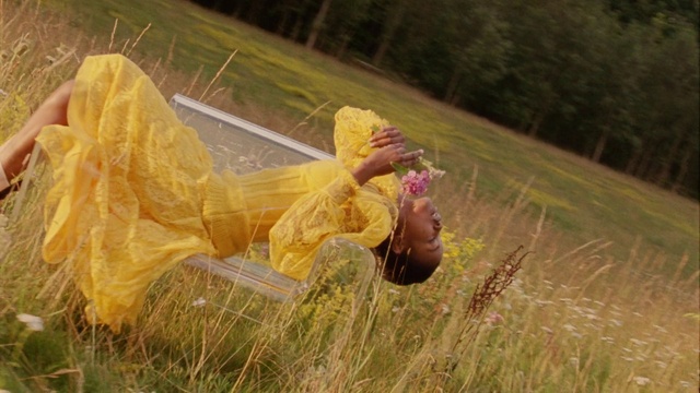 Video Reference: Plant, Dress, People in nature, Happy, Grass, Tree, Fawn, Grassland, Meadow, Grass family