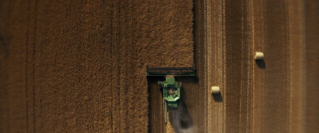 Video Reference: Wood, Door, Art, Tints and shades, Flooring, Grass, Brick, Facade, Sculpture, Concrete