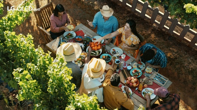 Video Reference: Jeans, Plant, Shirt, Hat, Botany, Chair, T-shirt, Leisure, Shorts, Rural area