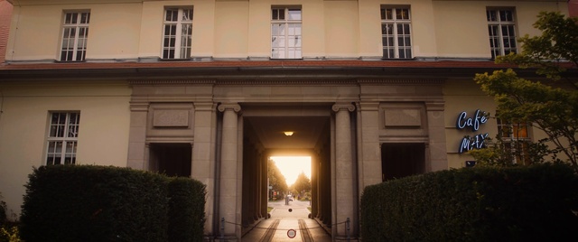 Video Reference: Window, Plant, Light, Building, Automotive lighting, Line, Facade, Symmetry, Tints and shades, City