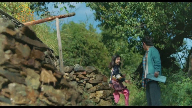 Video Reference: Plant, People in nature, Natural landscape, Tree, Sky, Wood, Bedrock, Grass, Woody plant, Leisure