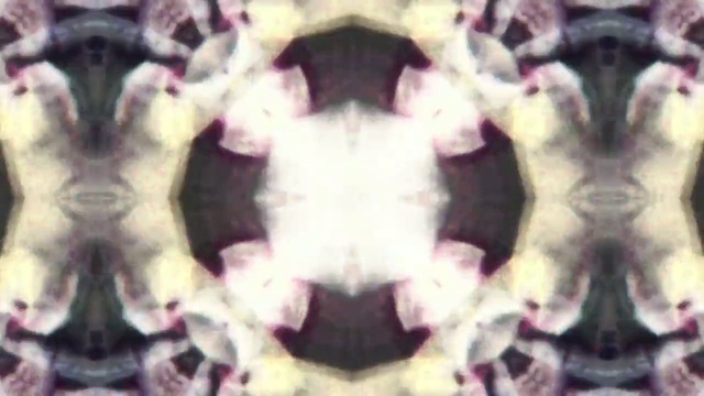 Video Reference: Vertebrate, Purple, Organism, Mammal, Violet, Magenta, Art, Symmetry, Font, Pattern