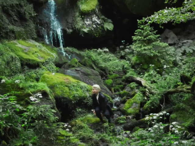 Video Reference: Plant, Plant community, Ecoregion, Natural landscape, Terrestrial plant, Grass, Water, Waterfall, Groundcover, Landscape