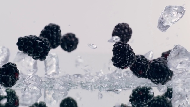 Video Reference: Food, Boysenberry, Plant, Fruit, Olallieberry, Natural foods, Seedless fruit, Berry, Dewberry, Bramble