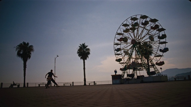 Video Reference: Sky, Cloud, Wheel, Plant, Tree, Ferris wheel, Dusk, Horizon, Recreation, Arecales