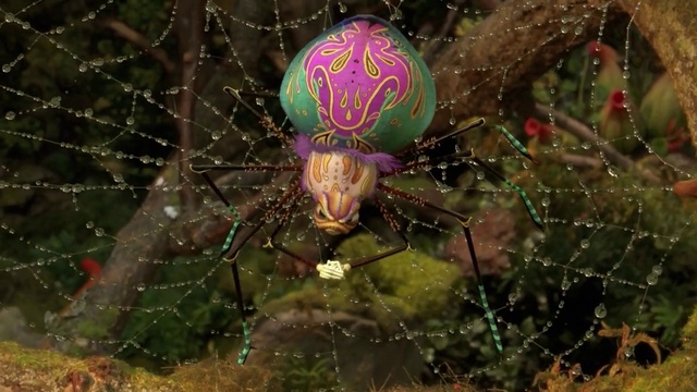 Video Reference: Insect, Arthropod, Organism, Terrestrial plant, Grass, Spider, Parasite, Arachnid, Pest, Symmetry