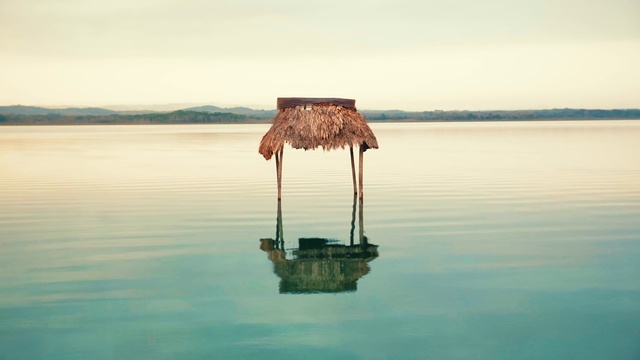 Video Reference: Water, Sky, Water resources, Cloud, Wood, Plant, Lake, Tree, Arecales, Thatching