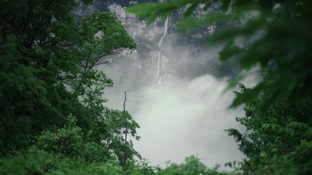 Video Reference: Water, Natural landscape, Waterfall, Tree, Watercourse, Plant, Fluvial landforms of streams, Landscape, Terrestrial plant, Chute