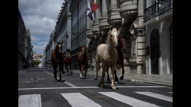Video Reference: Horse, Building, Cloud, Infrastructure, Working animal, Sky, Mode of transport, Flag, Window, Horse tack