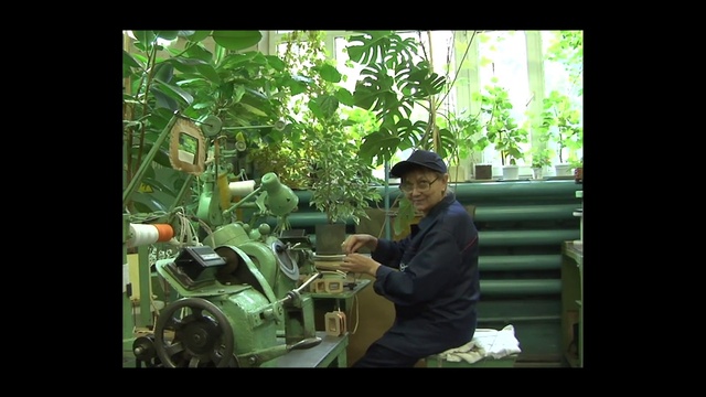 Video Reference: Plant, Hat, Fedora, Terrestrial plant, Houseplant, Tree, Sun hat, Display device, Musician, Cameras & optics