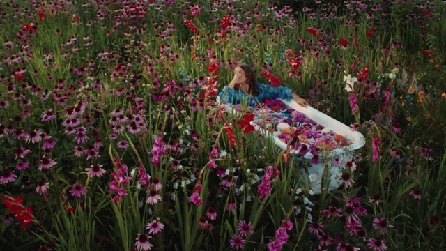 Video Reference: Flower, Plant, Plant community, Petal, People in nature, Grass, Herbaceous plant, Groundcover, Shrub, Flowering plant