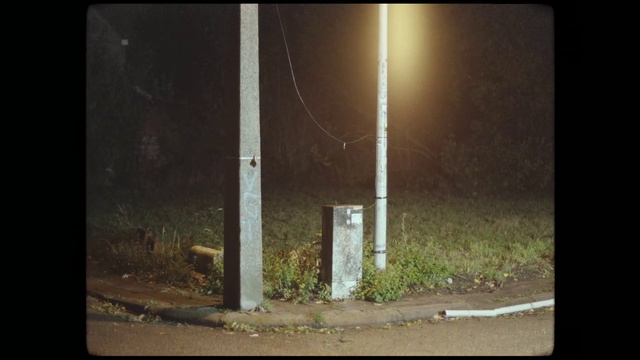 Video Reference: Plant, Automotive lighting, Rectangle, Road surface, Asphalt, Tints and shades, Grass, Electricity, Landscape, Street light