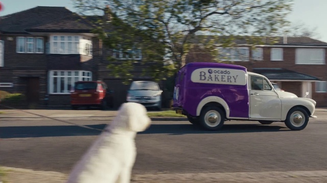 Video Reference: Tire, Car, Wheel, Vehicle, Window, Dog, Automotive lighting, Tree, Carnivore, Asphalt