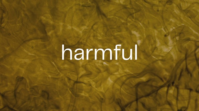 Video Reference: Brown, Gold, Amber, Wood, Plant, Font, Art, Pattern, Tints and shades, Metal