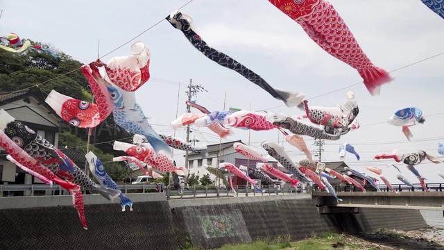 Video Reference: Sky, Plant, Leisure, Event, Pole, City, Wind, Fun, Carmine, Recreation
