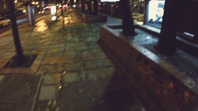 Video Reference: Road surface, Plant, Automotive lighting, Public space, Flooring, Tints and shades, City, Urban area, Human settlement, Darkness