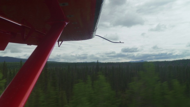 Video Reference: Cloud, Sky, Atmosphere, Plant, Natural environment, Aircraft, Tree, Wood, Air travel, Vehicle