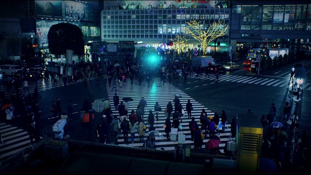 Video Reference: Infrastructure, Lighting, Crowd, Building, City, Urban design, Metropolitan area, Metropolis, Event, Cityscape