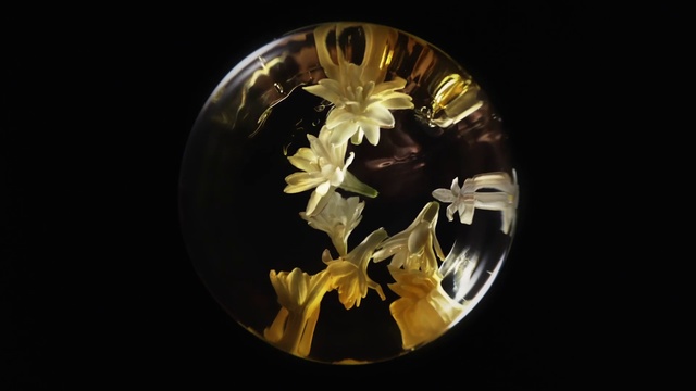 Video Reference: Gold, Rim, Automotive lighting, Spoke, Flower, Circle, Glass, Art, Metal, Automotive wheel system